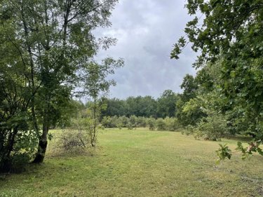 Maison a vendre Saint-Jean-d'Ataux 24190 Dordogne 272 m2 6 pièces 435750 euros