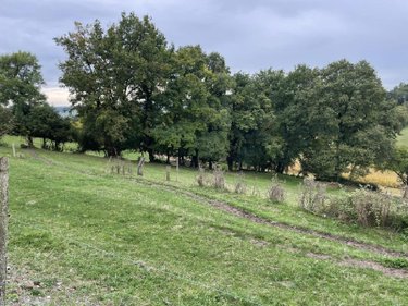 Maison a vendre Lusignac 24320 Dordogne 85 m2 4 pièces 139100 euros