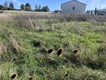 Terrain a batir a vendre Ribérac 24600 Dordogne 865 m2  19705 euros