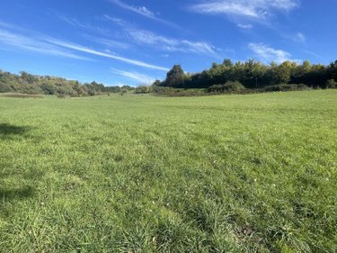 Bien agricole a vendre Ribérac 24600 Dordogne  38000 euros