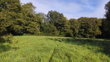 Bien agricole a vendre Baud 56150 Morbihan  38000 euros