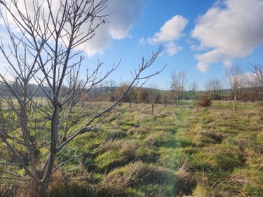 Terrains de loisirs bois etangs a vendre Laferté-sur-Aube 52120 Haute-Marne 2530 m2  7500 euros
