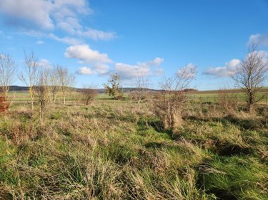 Terrains de loisirs bois etangs a vendre Laferté-sur-Aube 52120 Haute-Marne 2530 m2  7500 euros