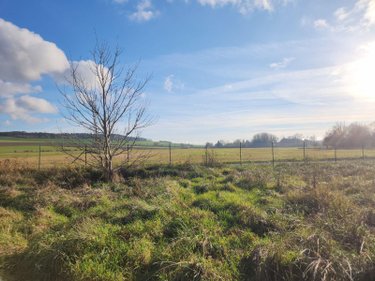 Terrains de loisirs bois etangs a vendre Laferté-sur-Aube 52120 Haute-Marne 2530 m2  7500 euros