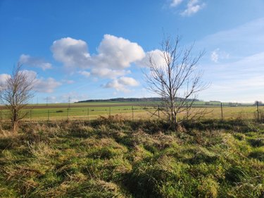 Terrains de loisirs bois etangs a vendre Laferté-sur-Aube 52120 Haute-Marne 2530 m2  7500 euros