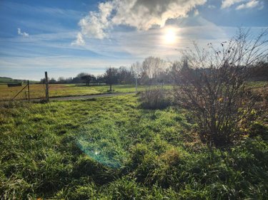 Terrains de loisirs bois etangs a vendre Laferté-sur-Aube 52120 Haute-Marne 2530 m2  7500 euros