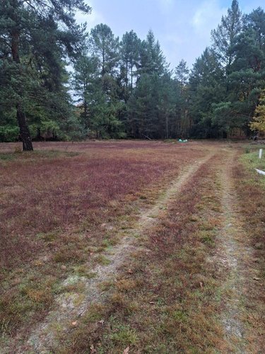 Maison a vendre Neuvy-sur-Barangeon 18330 Cher 40 m2 2 pièces 69500 euros