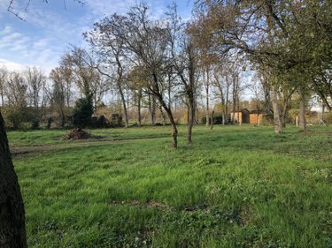 Terrain a batir a vendre Les Bordes 36100 Indre 1092 m2  23000 euros