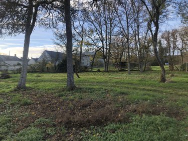 Terrain a batir a vendre Les Bordes 36100 Indre 1092 m2  23000 euros