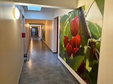 Location appartement Saint-Étienne-lès-Remiremont 88200 Vosges 44 m2 2 pièces 550 euros