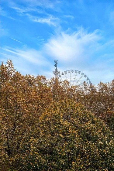 Appartement a vendre Bordeaux 33000 Gironde 130 m2 3 pièces 790000 euros