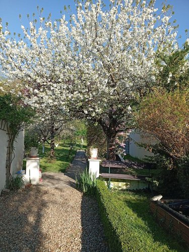 Maison a vendre Châtellerault 86100 Vienne 105 m2 4 pièces 155628 euros