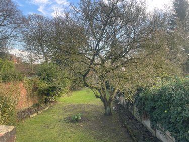 Immeuble a vendre Bailleul 59270 Nord 273 m2  425000 euros