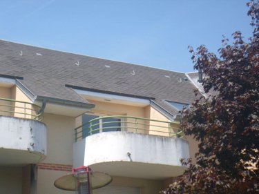 Appartement a vendre Doudeville 76560 Seine-Maritime 63 m2 3 pièces 99650 euros