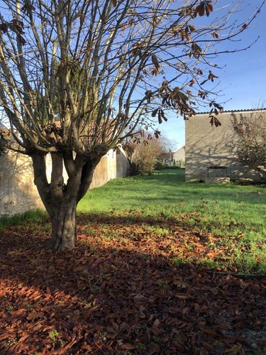 Maison a vendre Saint-Ambroix 18290 Cher 69 m2 2 pièces 63600 euros