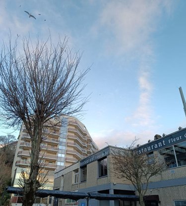 Appartement a vendre Boulogne-sur-Mer 62200 Pas-de-Calais 38 m2 2 pièces 199500 euros