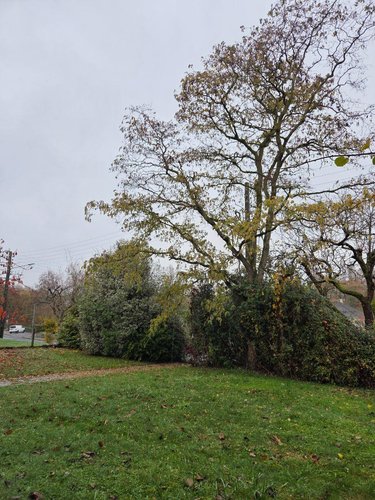 Maison a vendre Villaines-la-Juhel 53700 Mayenne 109 m2 8 pièces 94920 euros