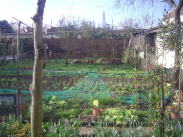 Maison a vendre Pessac 33600 Gironde 83 m2 3 pièces 200000 euros