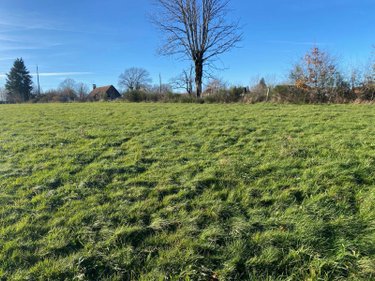 Maison a vendre Chalvignac 15200 Cantal 85 m2 4 pièces 106000 euros