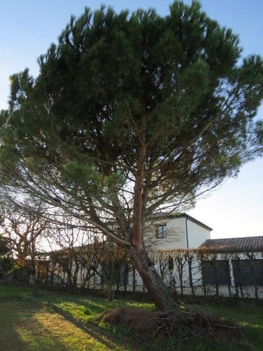 Maison a vendre Sancé 71000 Saône-et-Loire 90 m2 4 pièces 225000 euros