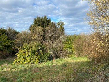 Maison a vendre Saint-Romain-la-Virvée 33240 Gironde 225 m2 7 pièces 200000 euros