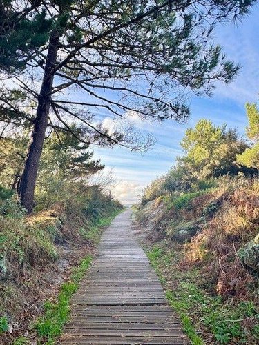 Maison a vendre Trégunc 29910 Finistère 57 m2 3 pièces 192400 euros