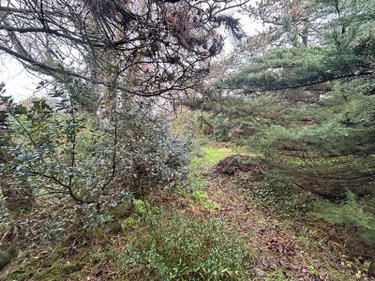 Terrain a batir a vendre Agon-Coutainville 50230 Manche 493 m2  212000 euros