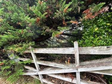 Terrain a batir a vendre Agon-Coutainville 50230 Manche 493 m2  212000 euros