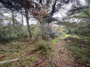 Terrain a batir a vendre Agon-Coutainville 50230 Manche 493 m2  212000 euros