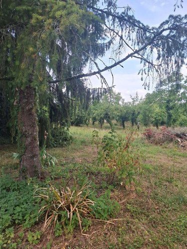 Maison a vendre Saint-Martin-d'Auxigny 18110 Cher 92 m2 4 pièces 136500 euros