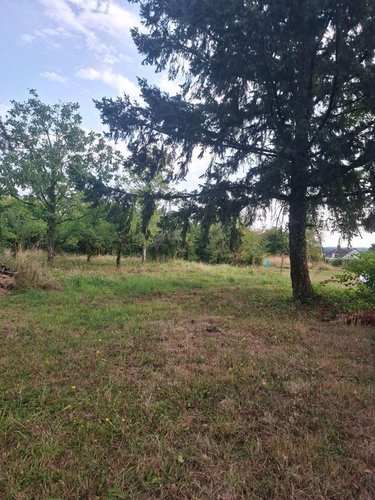 Maison a vendre Saint-Martin-d'Auxigny 18110 Cher 92 m2 4 pièces 136500 euros