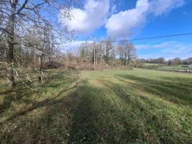 Terrain a batir a vendre Nadaillac 24590 Dordogne 12100 m2  48500 euros