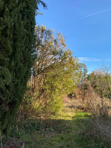 Maison a vendre Azay-le-Ferron 36290 Indre 106 m2 5 pièces 54200 euros