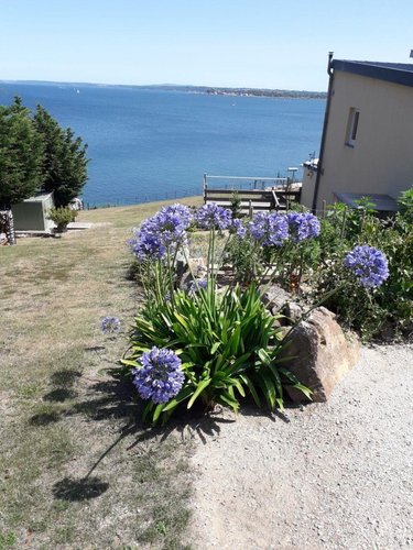 Maison a vendre Roscanvel 29570 Finistère 107 m2 7 pièces 471600 euros