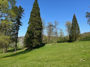 propriete a vendre Clères 76690 Seine-Maritime 329 m2 14 pièces 470000 euros