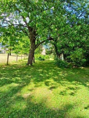 Maison a vendre Neuvy-Pailloux 36100 Indre 81 m2 4 pièces 64320 euros