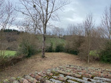 Maison a vendre Roannes-Saint-Mary 15220 Cantal 52 m2 3 pièces 90100 euros