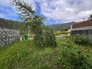 Maison a vendre Saint-Louis 97450 Réunion 27 m2 2 pièces 64700 euros