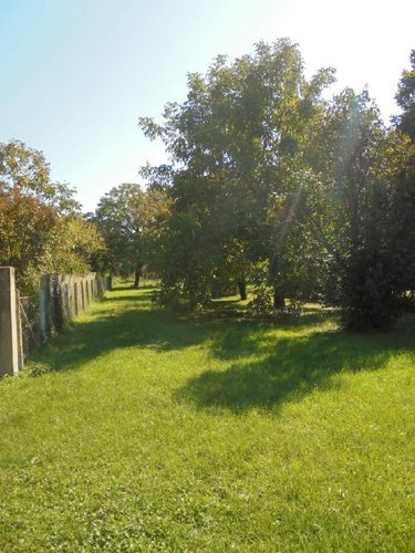 Maison a vendre Josnes 41370 Loir-et-Cher 100 m2 4 pièces 168200 euros