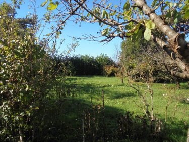 Maison a vendre Beaugency 45190 Loiret 126 m2 6 pièces 189000 euros