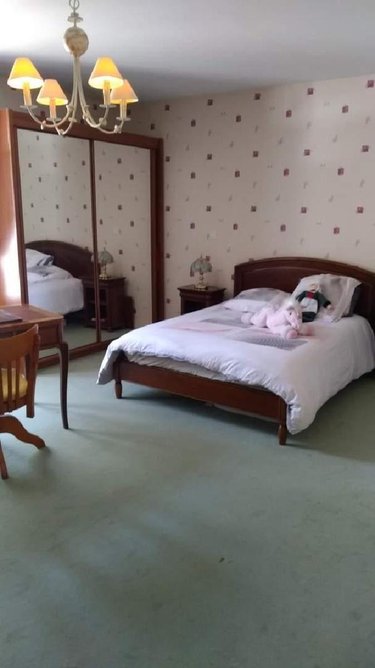 propriete a vendre Beaugency 45190 Loiret 360 m2 13 pièces 891400 euros