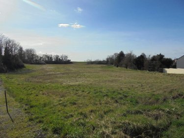 Terrain a batir a vendre Beaugency 45190 Loiret 1117 m2  61800 euros