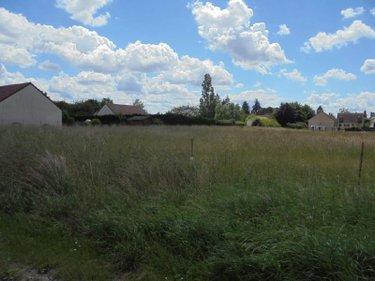 Terrain a batir a vendre Cravant 45190 Loiret 1111 m2  43000 euros