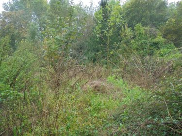 Maison a vendre Tavers 45190 Loiret 143 m2 3 pièces 191300 euros