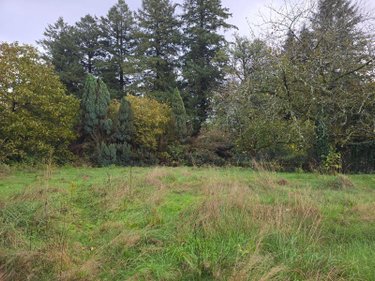 Maison a vendre Saint-Sylvestre 87240 Haute-Vienne 141 m2 6 pièces 184000 euros