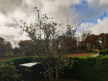 Maison a vendre Saint Gérand Croixanvec 56920 Morbihan 63 m2 3 pièces 136800 euros