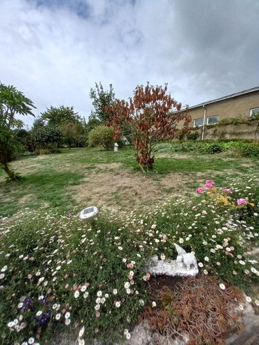 Maison a vendre Larchamp 53220 Mayenne 74 m2 3 pièces 114356 euros