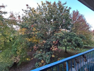 Appartement a vendre Mérignac 33700 Gironde 80 m2 4 pièces 243500 euros