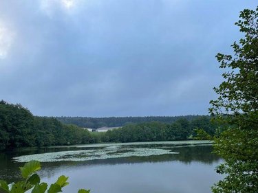 Terrains de loisirs bois etangs a vendre Le Val-d'Ajol 88340 Vosges 25021 m2  126540 euros