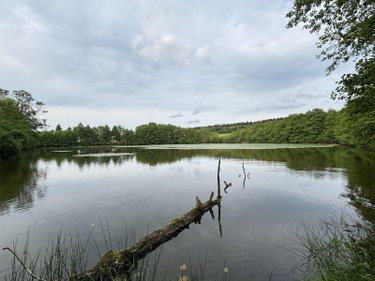 Terrains de loisirs bois etangs a vendre Le Val-d'Ajol 88340 Vosges 25021 m2  126540 euros